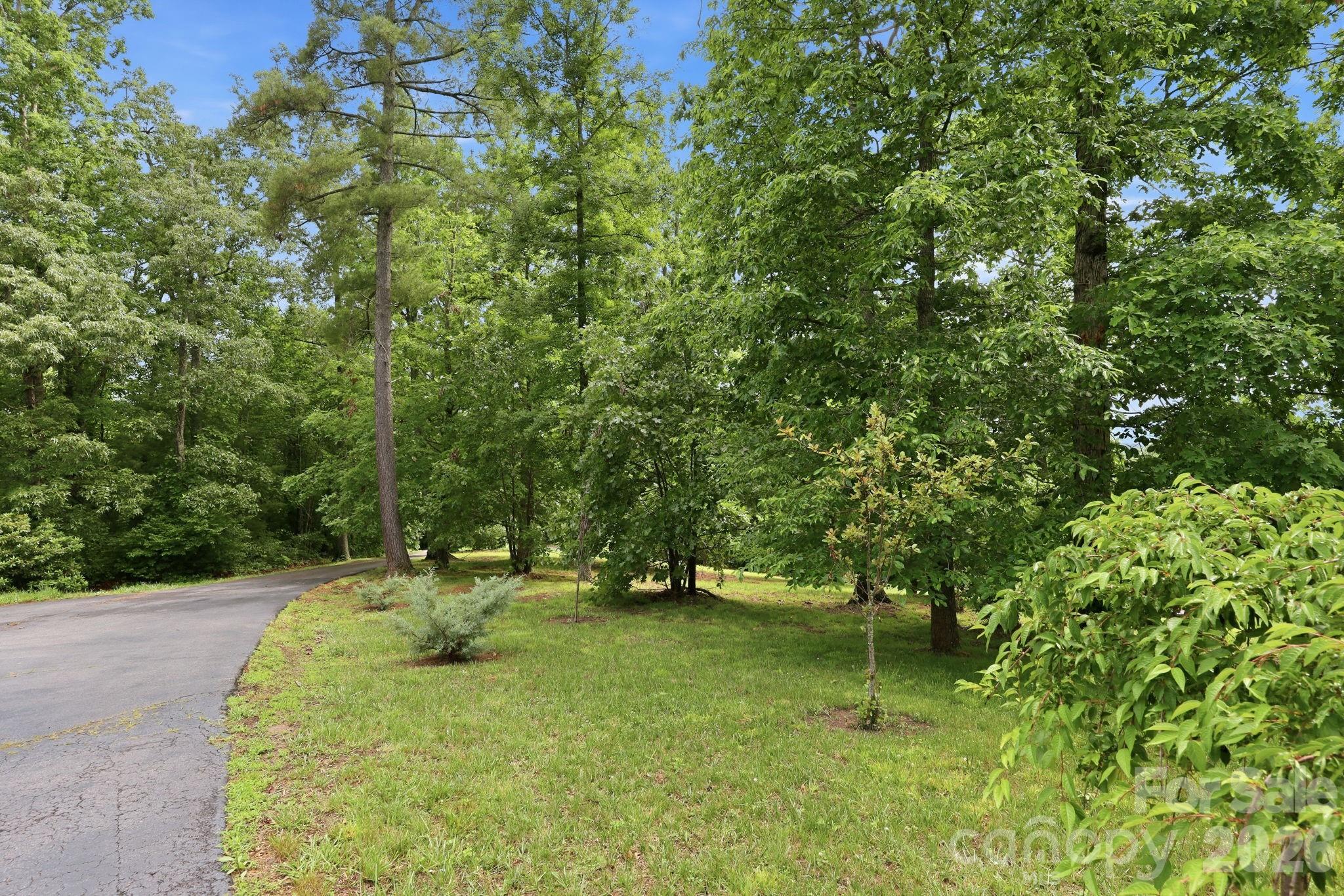 65 Buckle Ridge Weaverville, NC 28787 - Photo 5 of 46