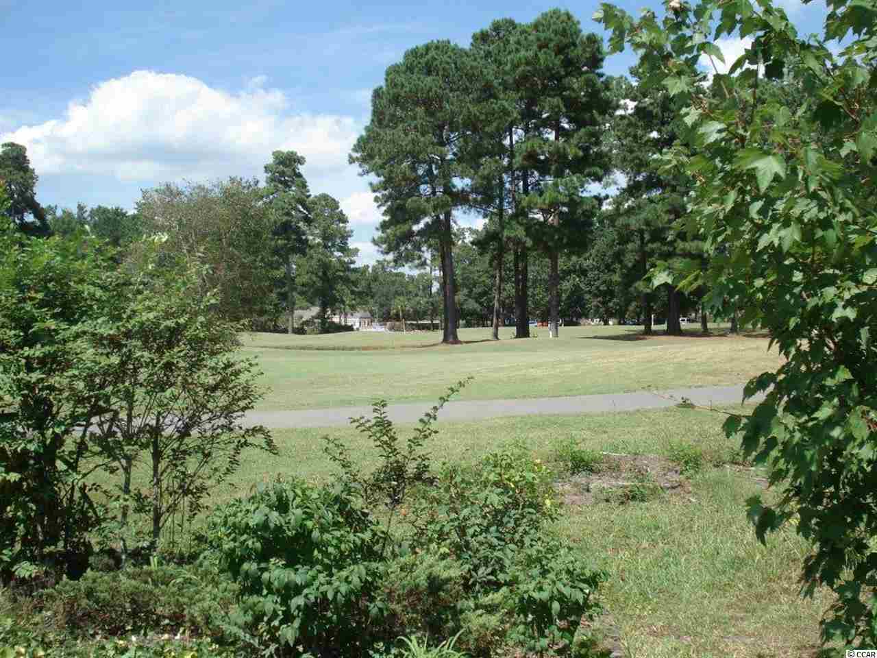 9442 Pinckney Lane Murrells Inlet, SC 29576 - Photo 23 of 24 Gallery Image 23