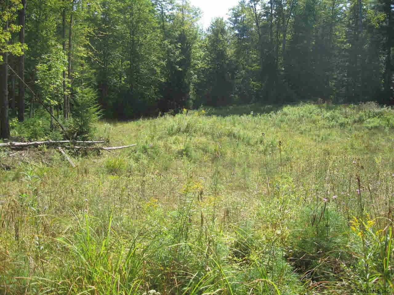 0 Pinewood Road Chestertown, NY 12817 - Photo 2 of 6 Photo 2