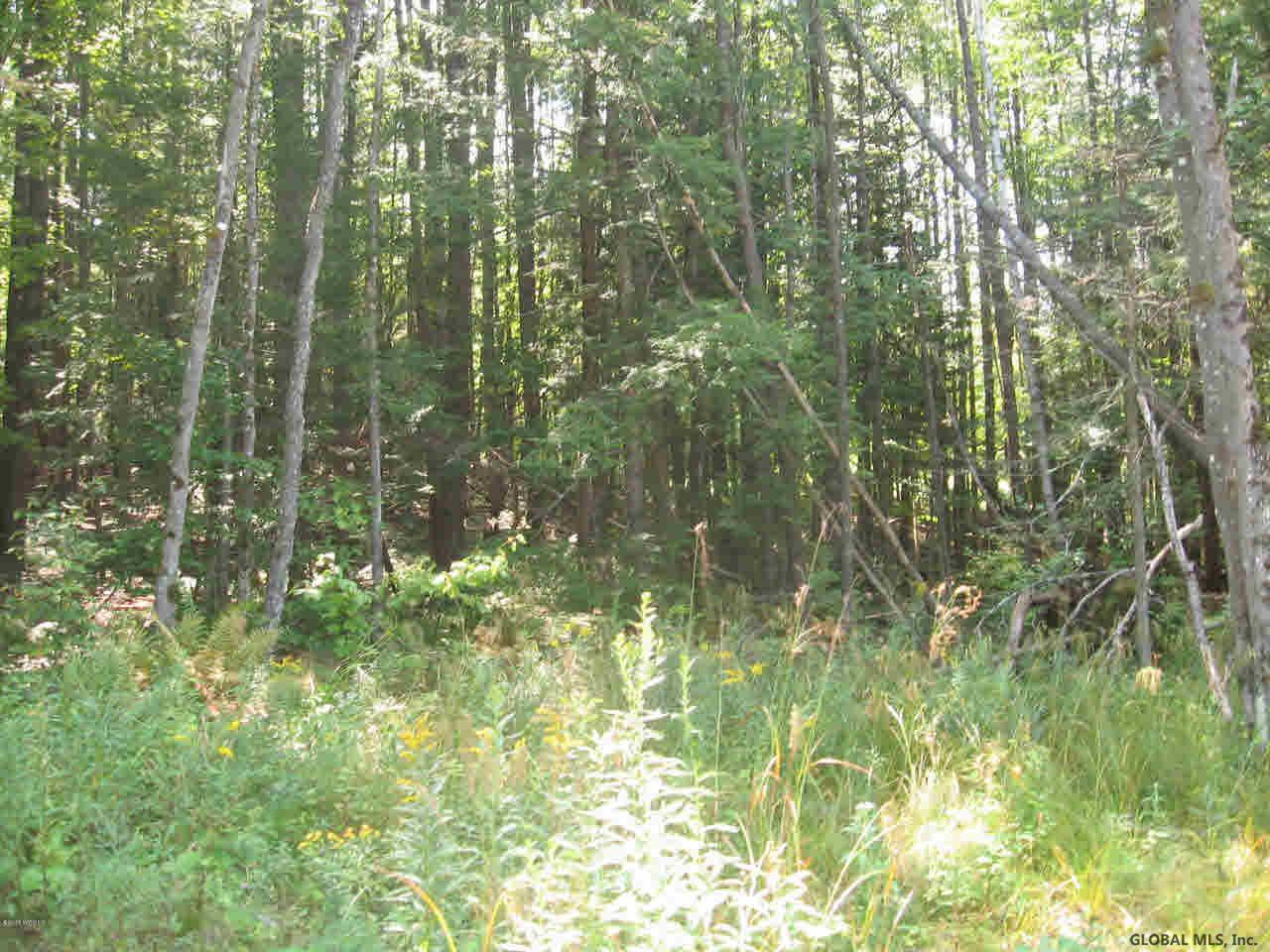 0 Pinewood Road Chestertown, NY 12817 - Photo 3 of 6 Photo 3