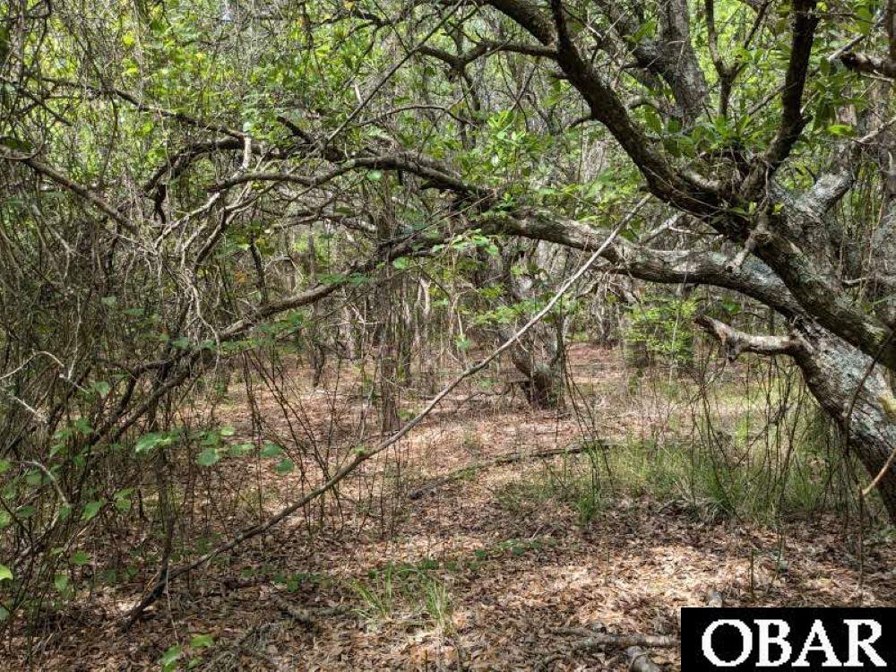 2014 Ocean Pearl Road Corolla, NC 27927 - Photo 6 of 10 Gallery Image 6