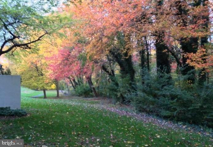5707 Harpers Farm Road, Unit A Columbia, MD 21044 - Photo 29 of 30 a view of park with trees