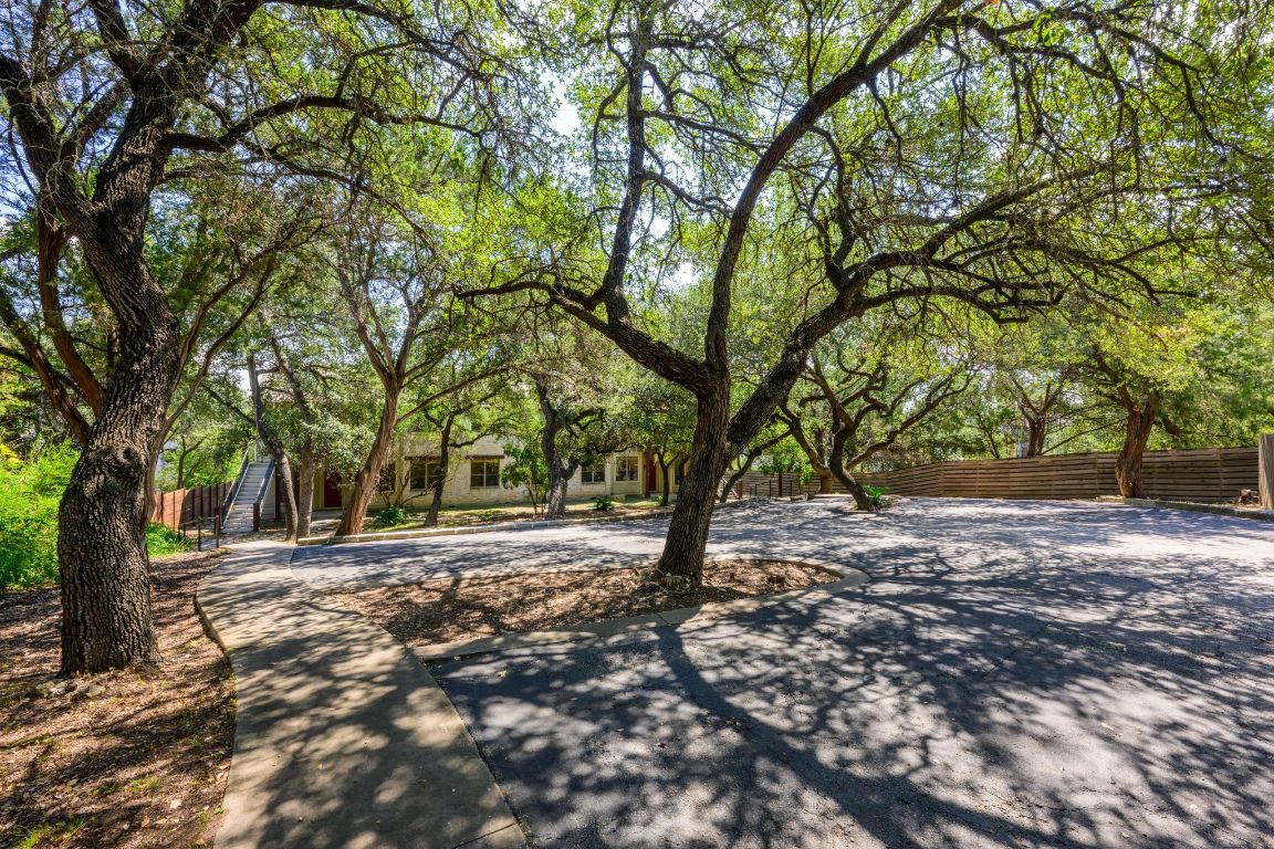 1101 Oak Hurst Road, Unit 100 Austin, TX 78734 - Photo 30 of 35 a view of a tree in the middle of a yard