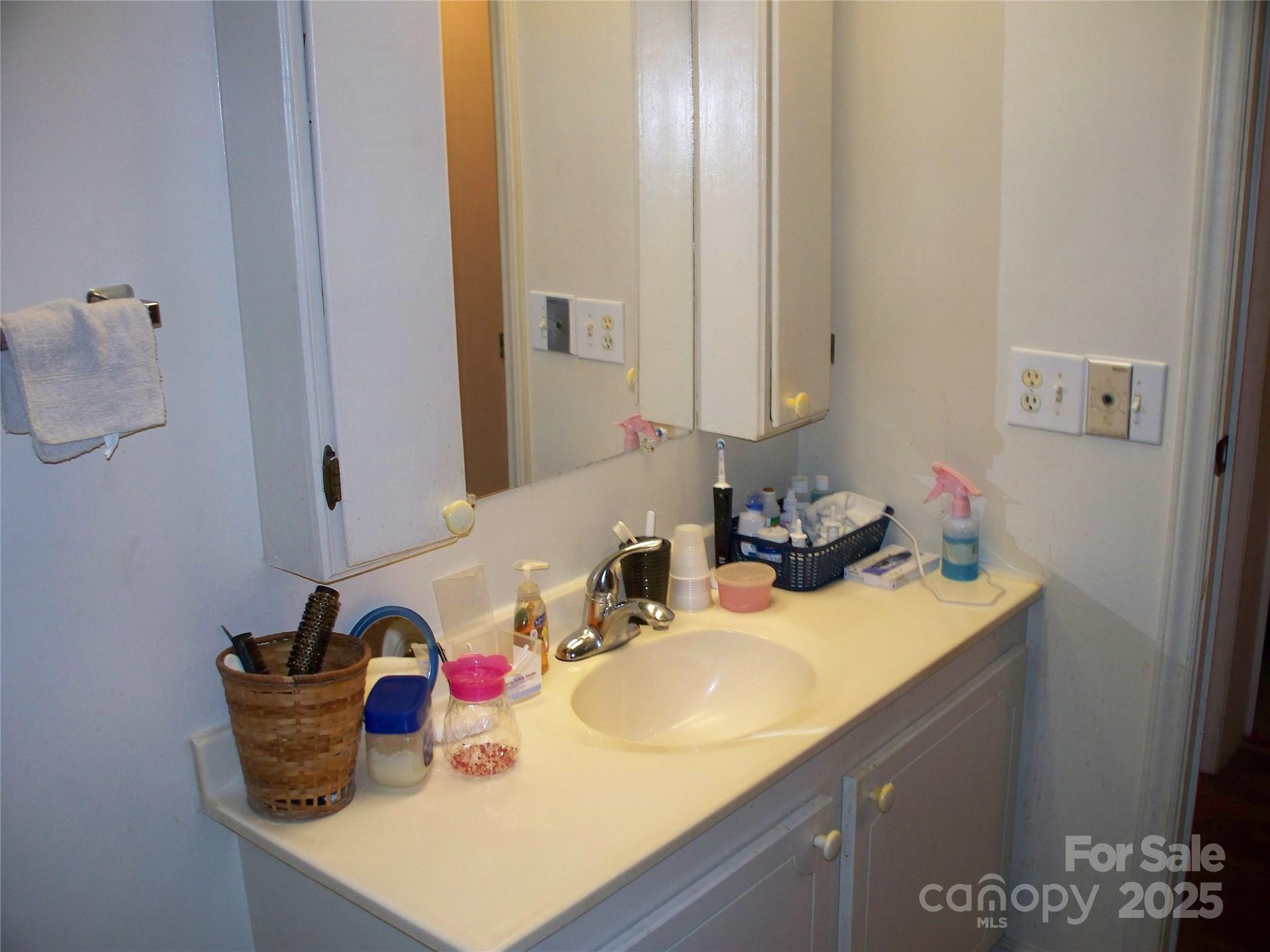 914 Salem Church Road Lincolnton, NC 28092 - Photo 16 of 22 a bathroom with a sink and a mirror