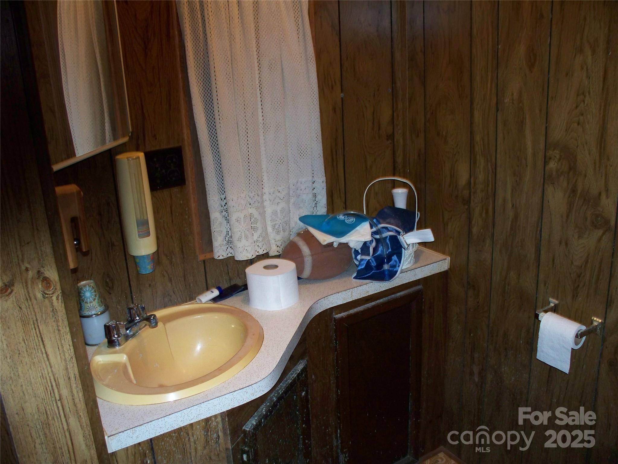 914 Salem Church Road Lincolnton, NC 28092 - Photo 18 of 22 a bathroom with a sink and a mirror
