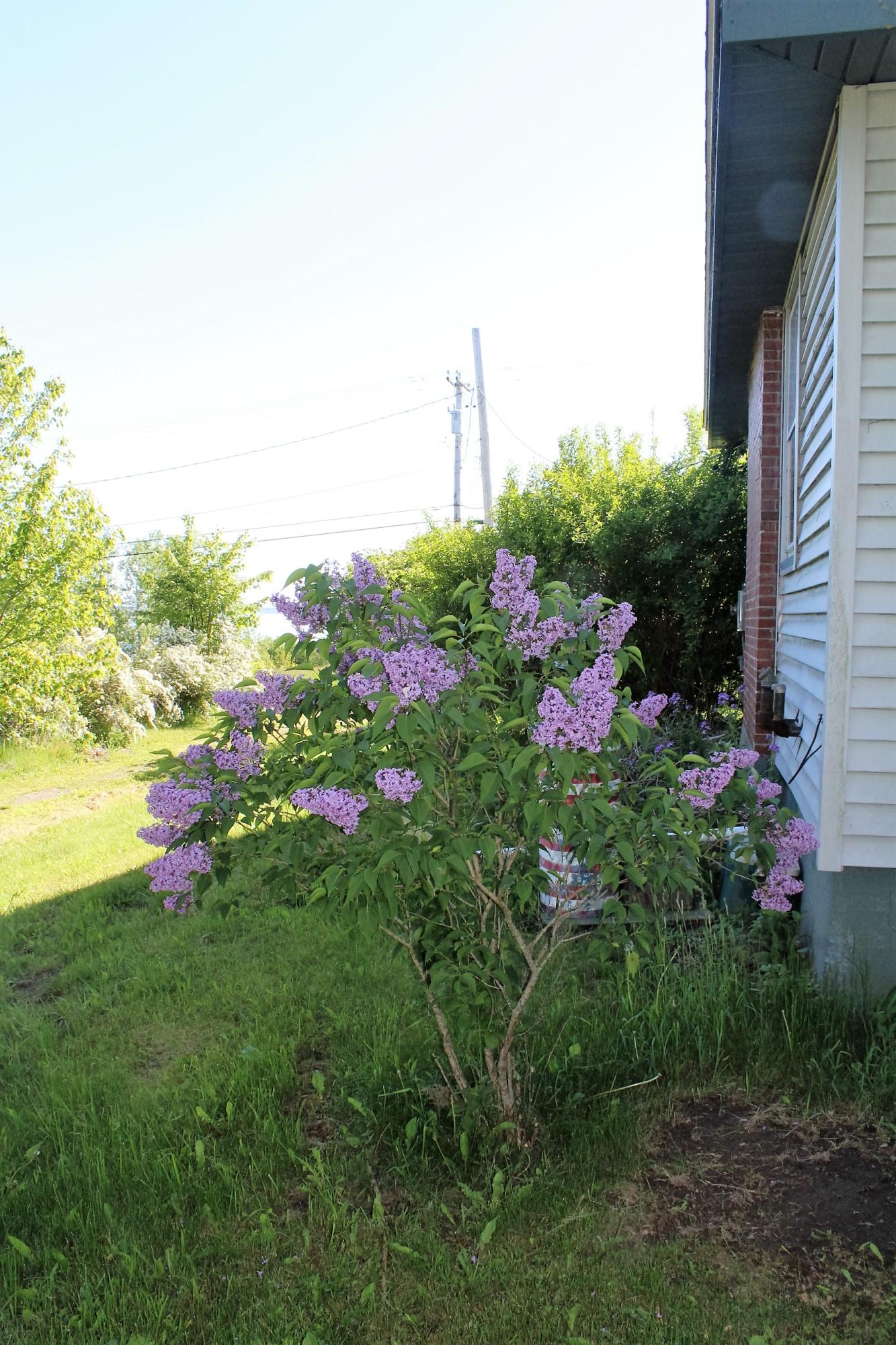 24 North Lubec Road Lubec, ME 04652 - Photo 22 of 33 IMG_1165