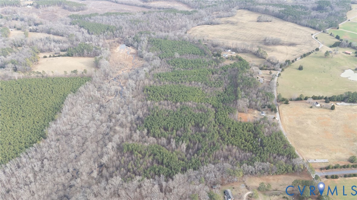 0 Harpers Mill Road McKenney, VA 23872 - Photo 12 of 12 a view of a yard with trees