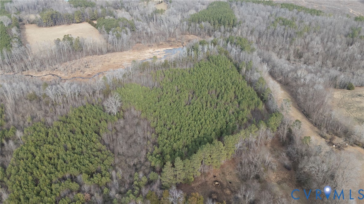 0 Harpers Mill Road McKenney, VA 23872 - Photo 3 of 12 a view of a yard