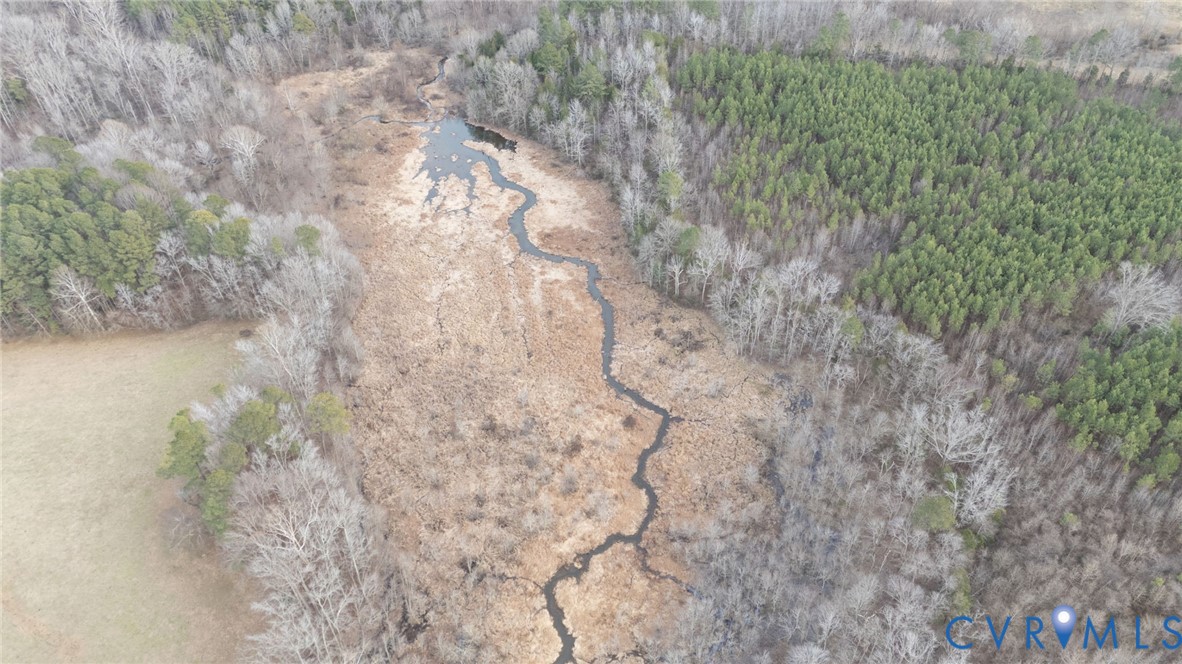 0 Harpers Mill Road McKenney, VA 23872 - Photo 10 of 12