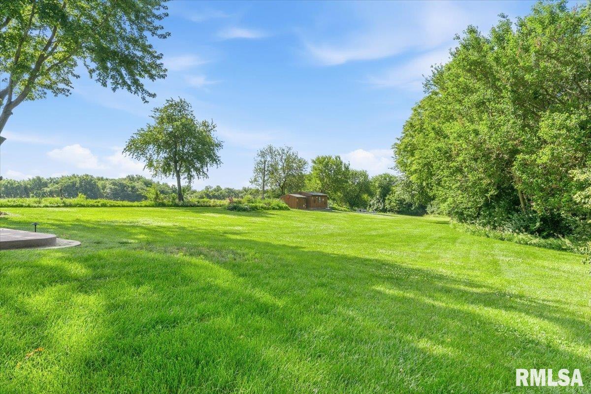 14201 3100N Road Virden, IL 62690 - Photo 40 of 55