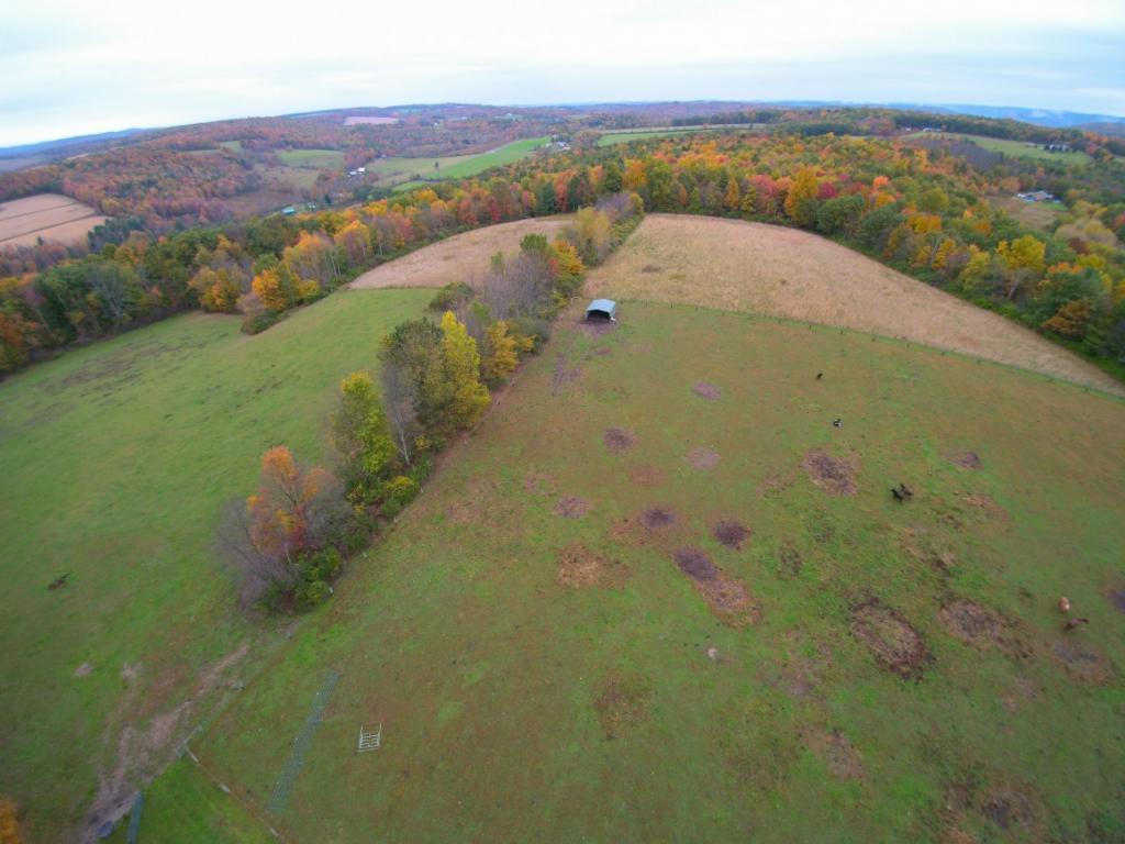 29 School House Road Owego, NY 13827 - Photo 24 of 35 Gallery Image 24