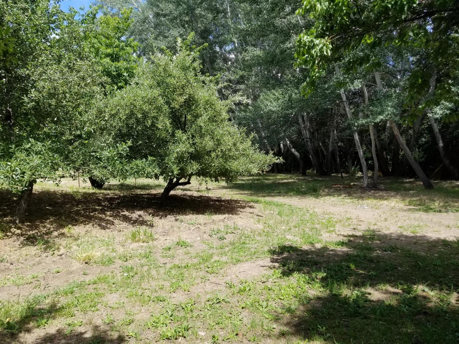 220 Upper River Road Gold Hill, OR 97525 - Photo 15 of 17 Additional Photo