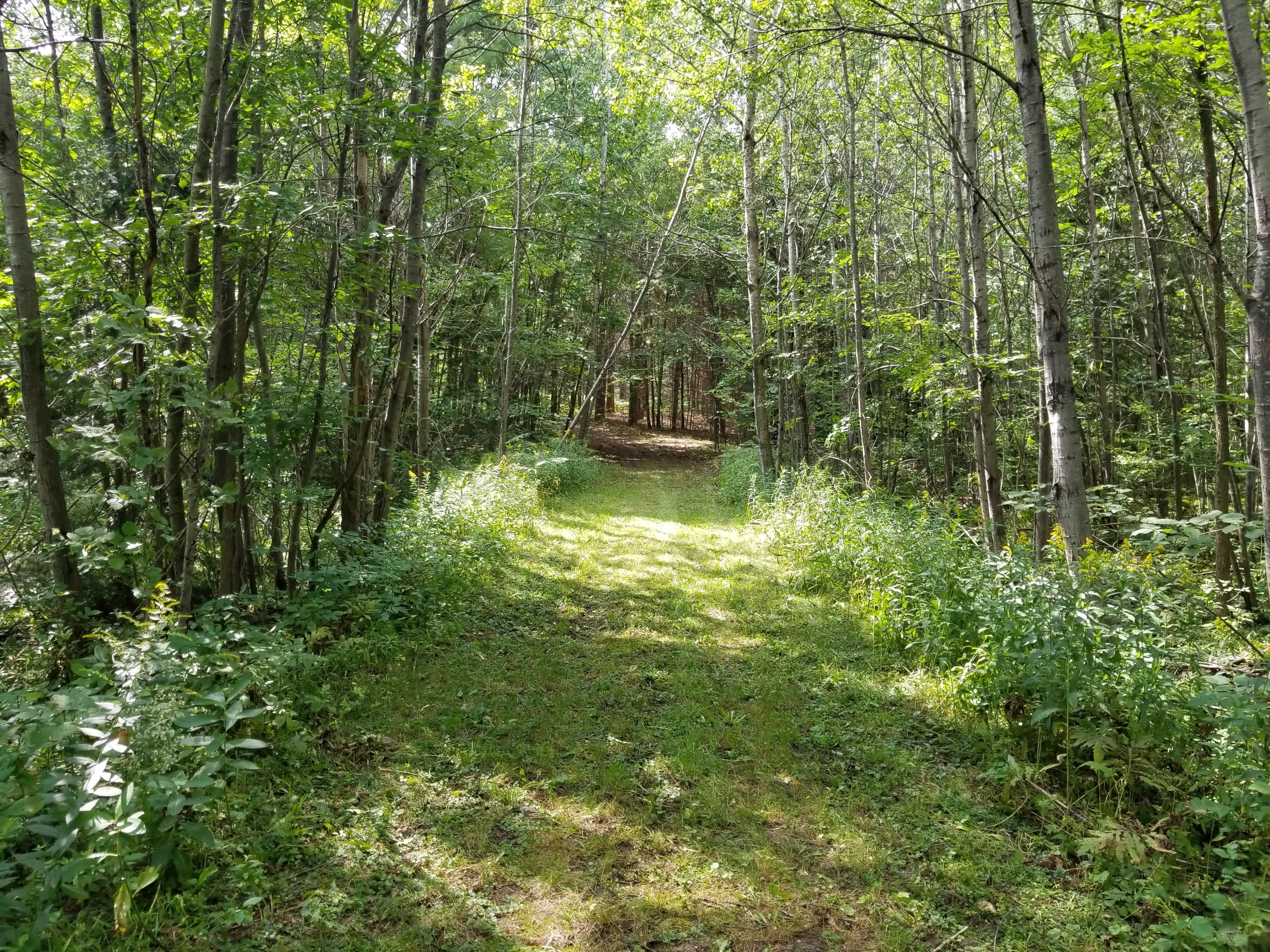 2185 Pearsall Road Fairview, MI 48621 - Photo 11 of 49 Gallery Image 11