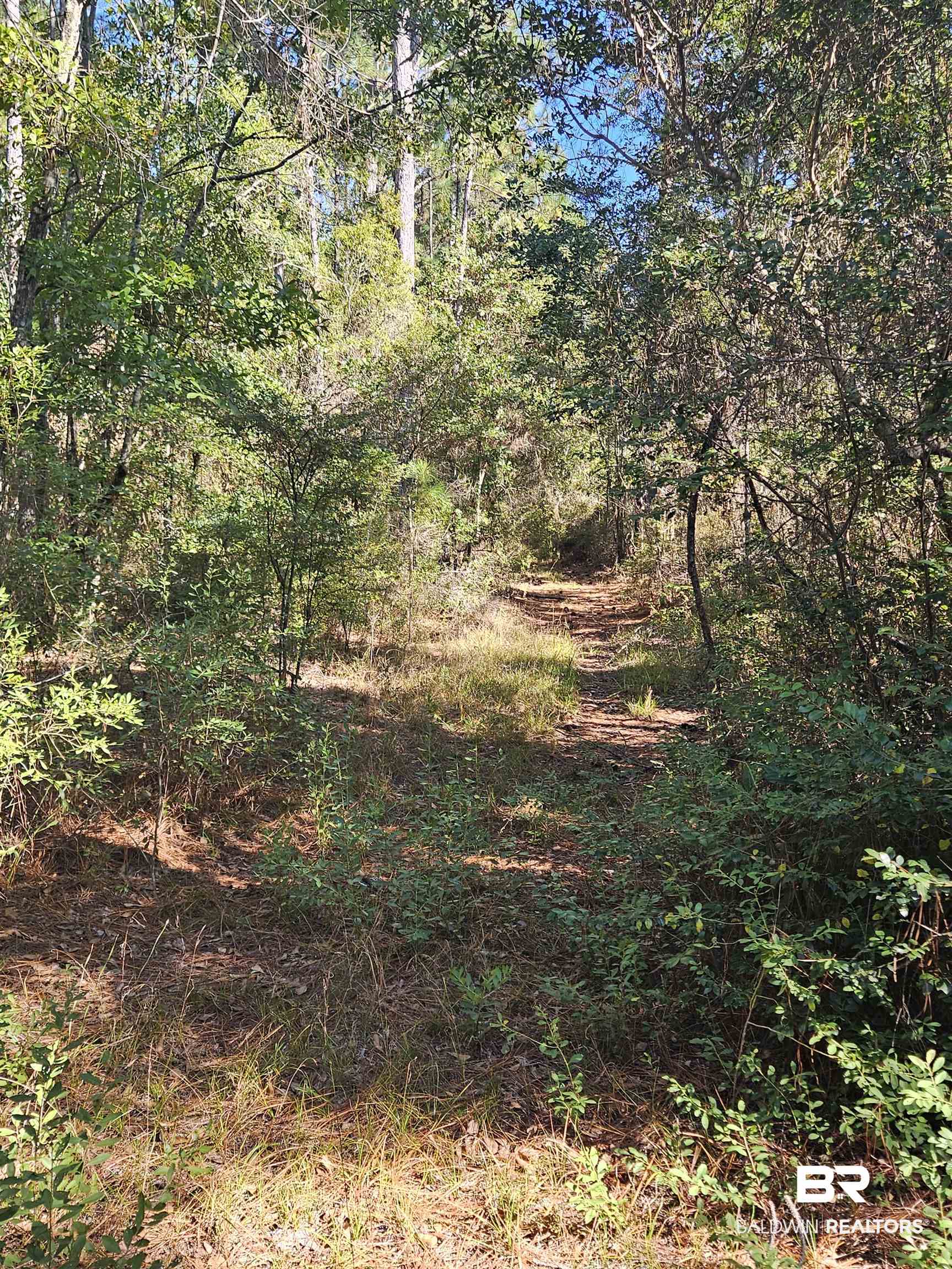 14780 Bellingrath Road Coden, AL 36523 - Photo 5 of 10 View of nature