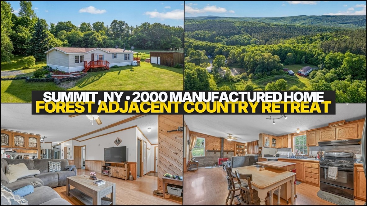 171 Rossman Hill Road Summit, NY 12175 - Photo 2 of 38 Gallery Image 2