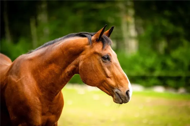 $1,900,000 | 3 White Hawk Ridge, Richmond, RI 02898