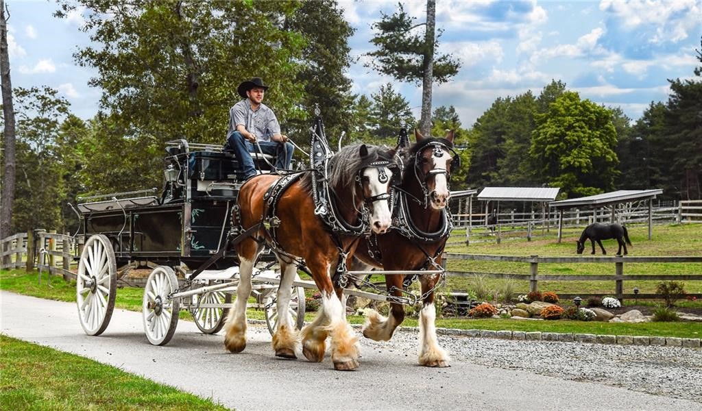 3 White Hawk Ridge Richmond, RI 02898 - Photo 35 of 42