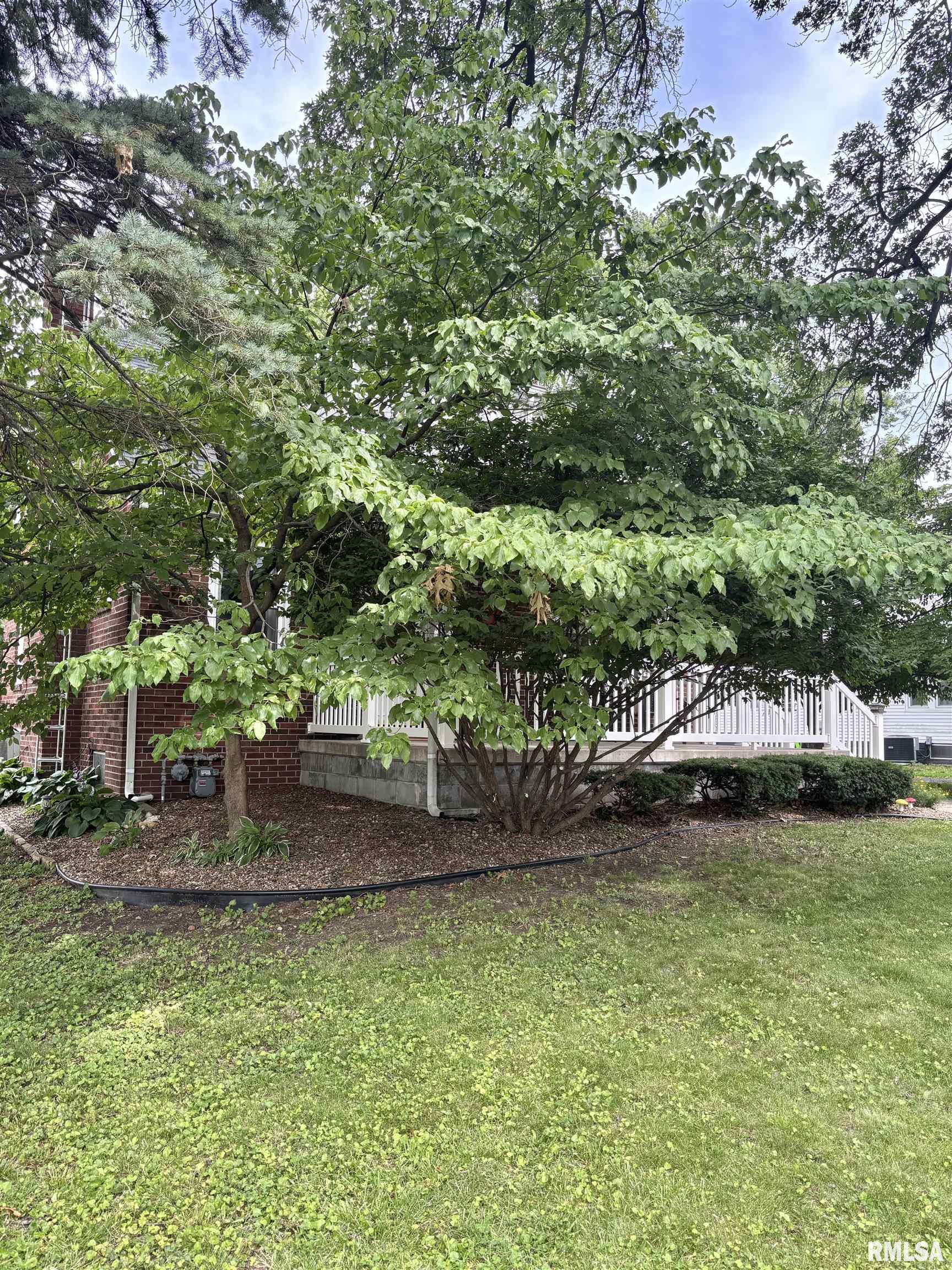 2014 North 9th Street Springfield, IL 62702 - Photo 64 of 83