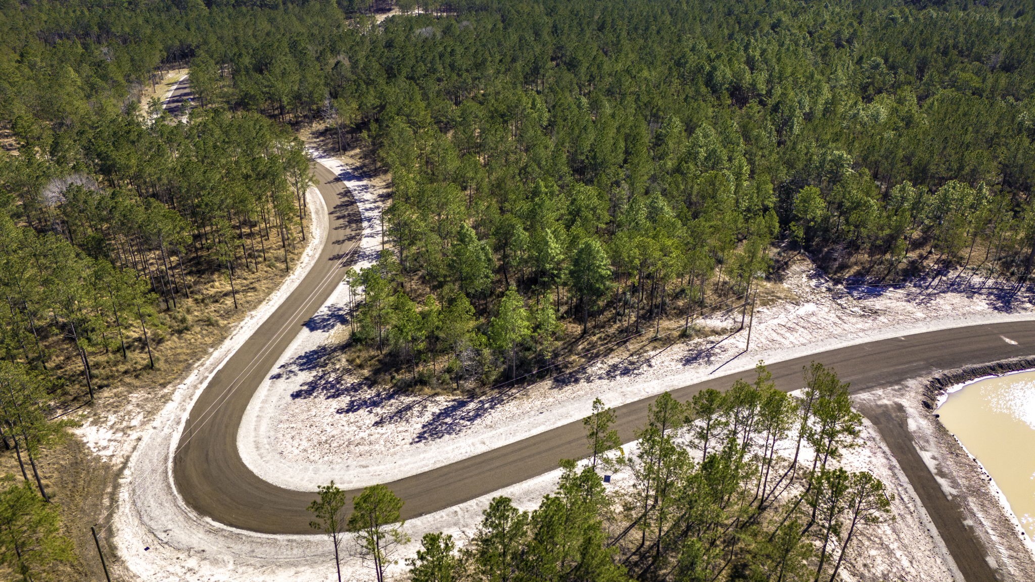 46 Tumbleweed Ranch Road Onalaska, TX 77360 - Photo 7 of 17