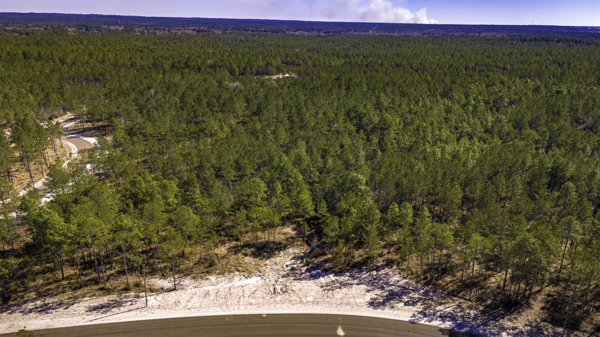 46 Tumbleweed Ranch Road Onalaska, TX 77360 - Photo 8 of 17