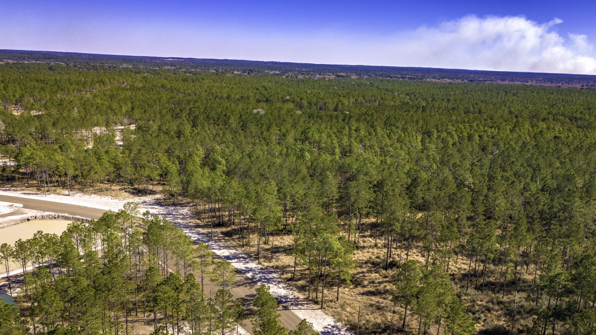 46 Tumbleweed Ranch Road Onalaska, TX 77360 - Photo 9 of 17