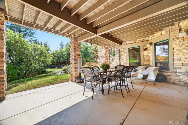 a view of a yard with plants and large trees
