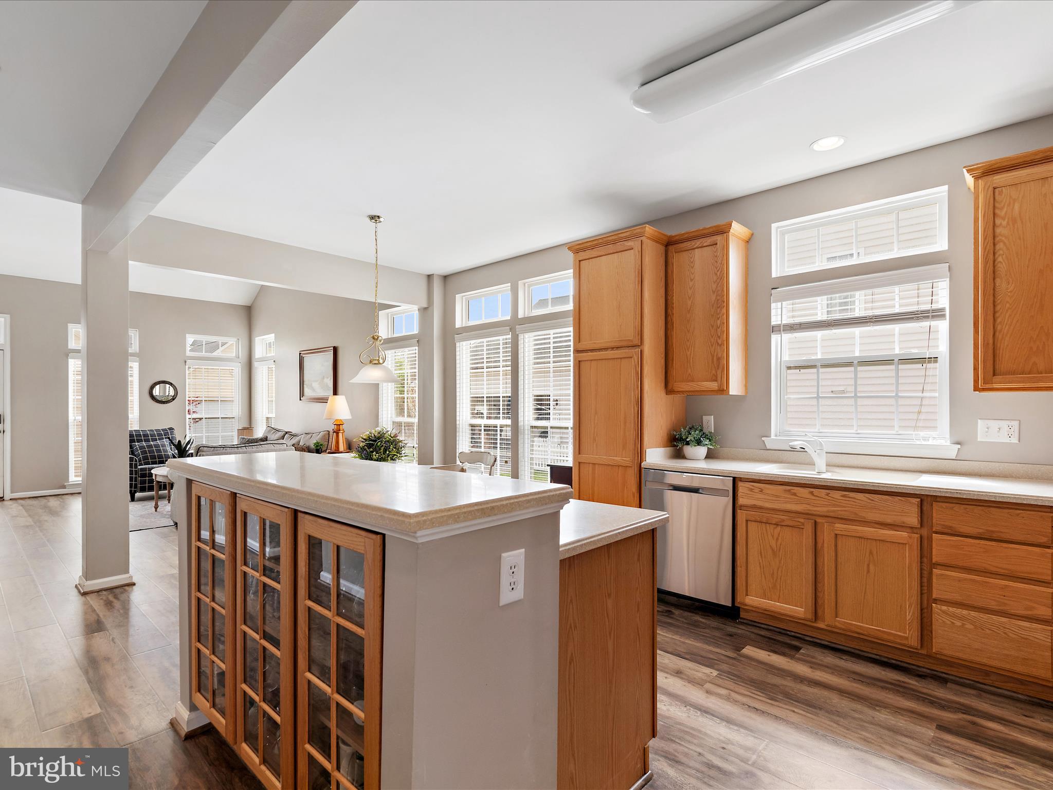 111 Ellison Drive Milton, DE 19968 - Photo 14 of 69 Display Cabinetry