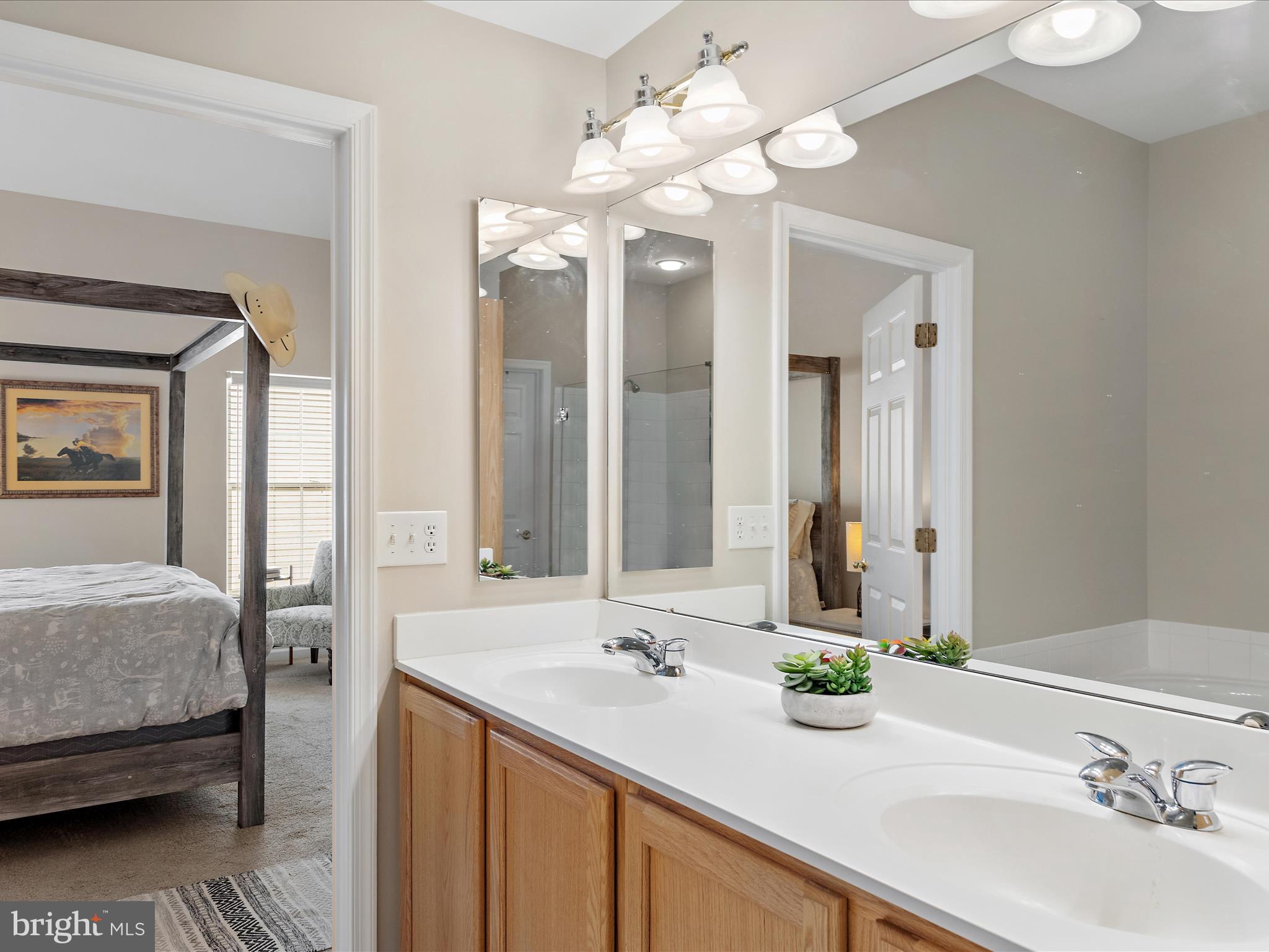 111 Ellison Drive Milton, DE 19968 - Photo 21 of 69 Primary Bathroom