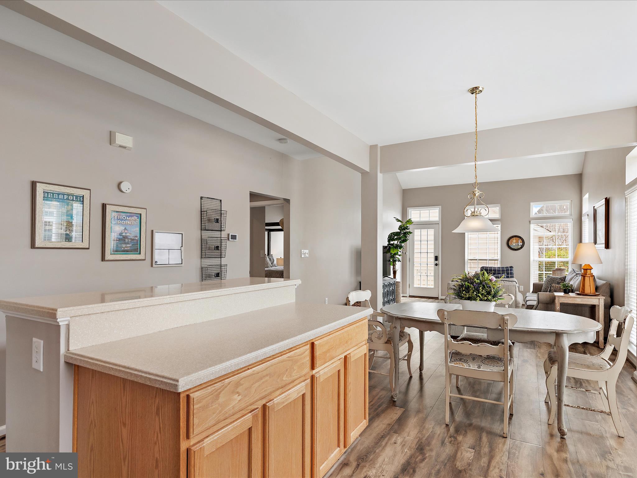 111 Ellison Drive Milton, DE 19968 - Photo 10 of 69 Breakfast Bar