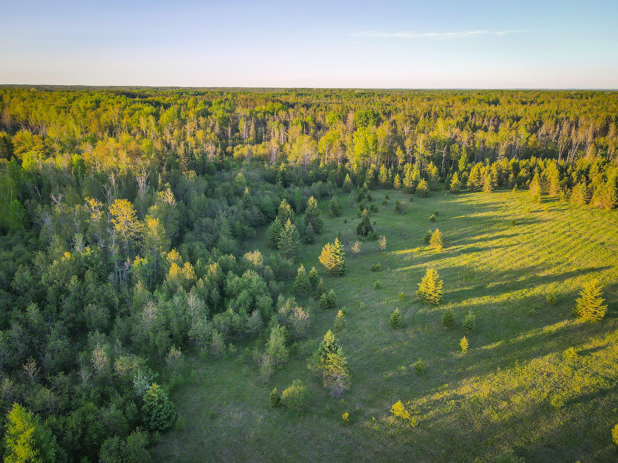 V/l V/l 33rd Road Perkins, MI 49872 - Photo 12 of 70 DJI_0173