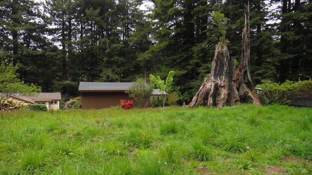 37 Fox Farm Road Trinidad, CA 95570 - Photo 34 of 55