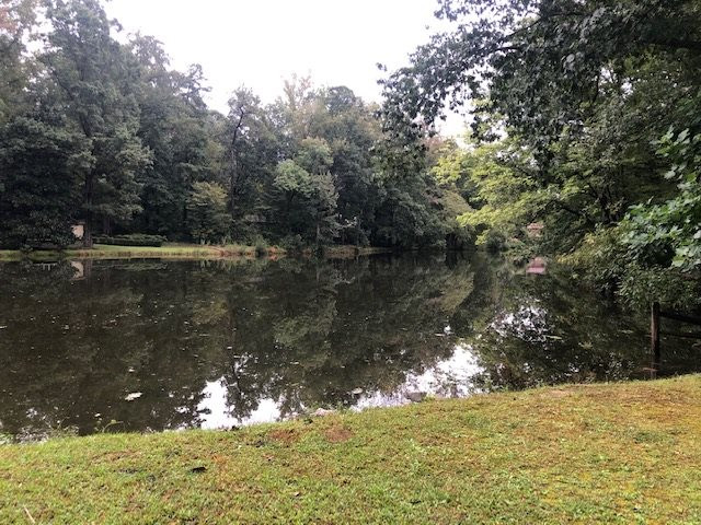 3307 Timberlake Road Raleigh, NC 27604 - Photo 20 of 21 a view of a lake from a yard