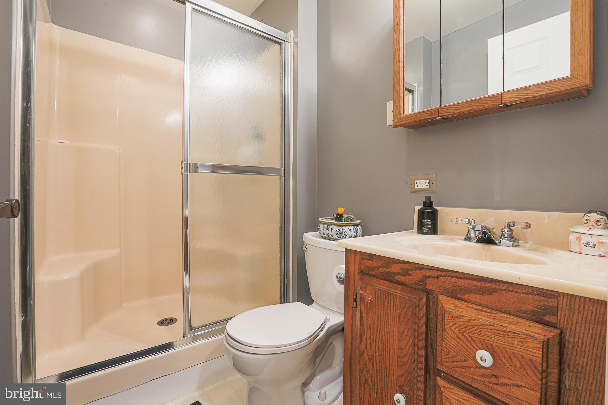 219 Gentlebrook Road Owings Mills, MD 21117 - Photo 24 of 44 Basement full bathroom