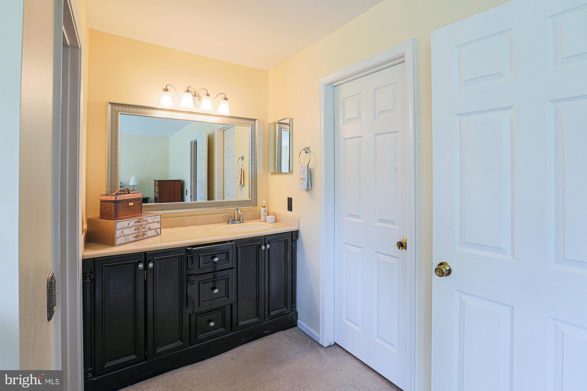 219 Gentlebrook Road Owings Mills, MD 21117 - Photo 38 of 44 Primary bedroom vanity & sink.