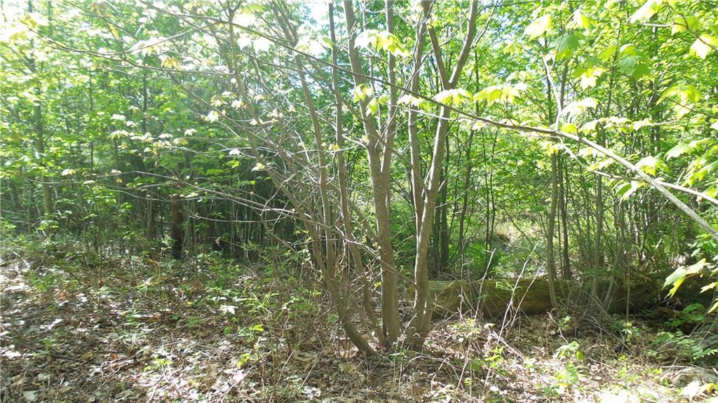 Lot 23-1 South Effingham Road Newfield, ME 04095 - Photo 5 of 13 Photo
