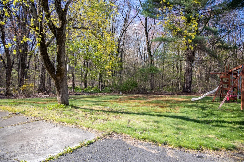 75 Sagamore Road West Springfield, MA 01089 - Photo 23 of 24 a view of a yard with large trees