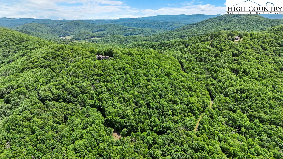 T-1 Grace Mountain Road Todd, NC 28684 - Photo 21 of 28 a view of a lush green forest with a mountain in the background