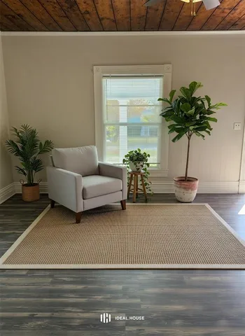 a living room with furniture flowerpot and a potted plant