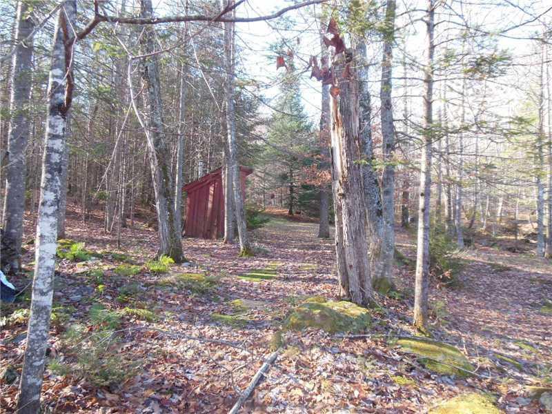 70 Mitchell Road Sangerville, ME 04479 - Photo 9 of 16 Land.