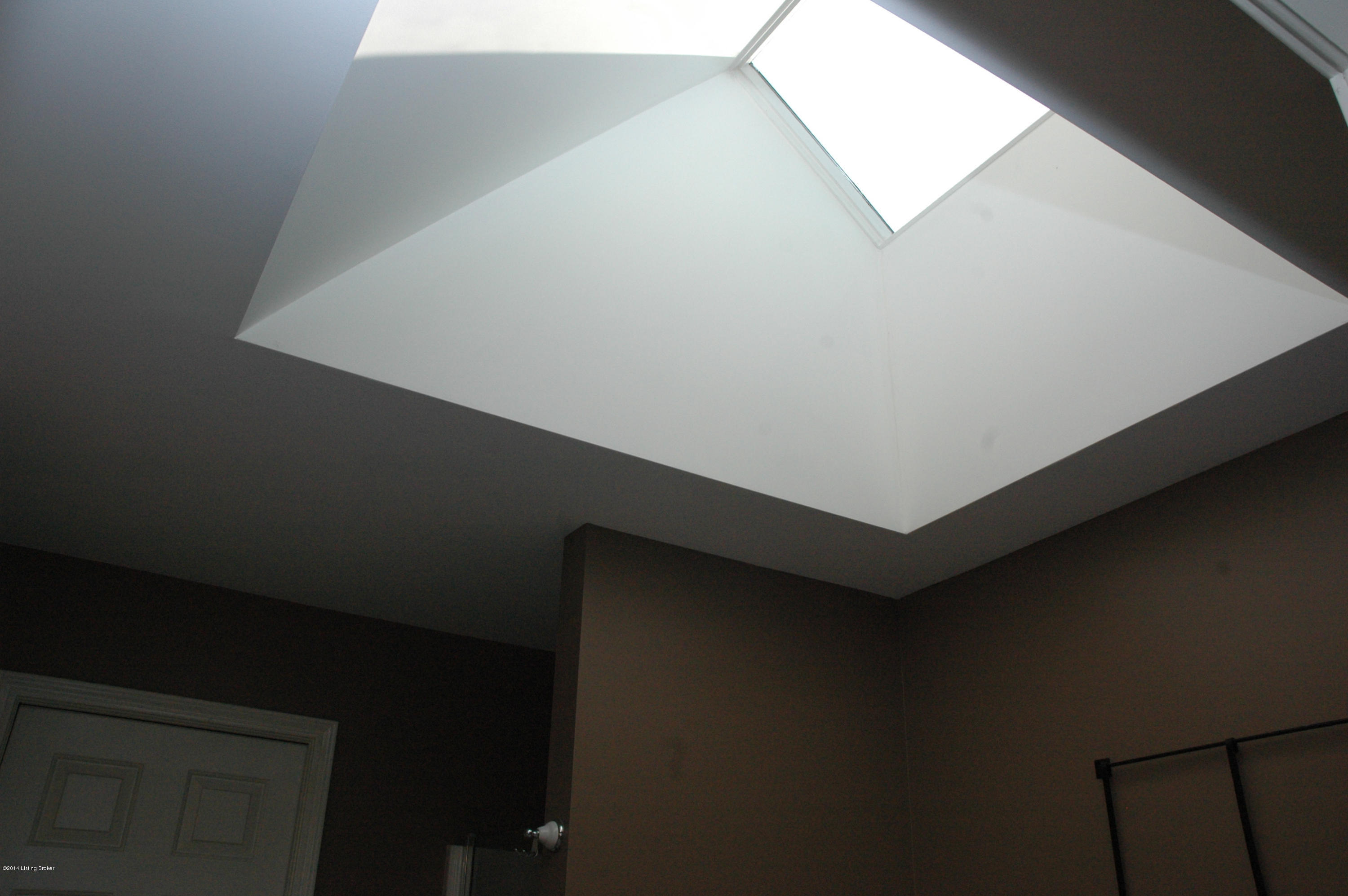 14016 Spring Mill Road Louisville, KY 40245 - Photo 21 of 39 Skylight in Master Bath