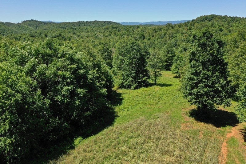 Johnnys Ridge Road Ferrum, VA 24088 - Photo 13 of 49 Gallery Image 13
