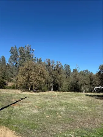 a view of a field with an ocean