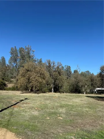 a view of a field with an ocean