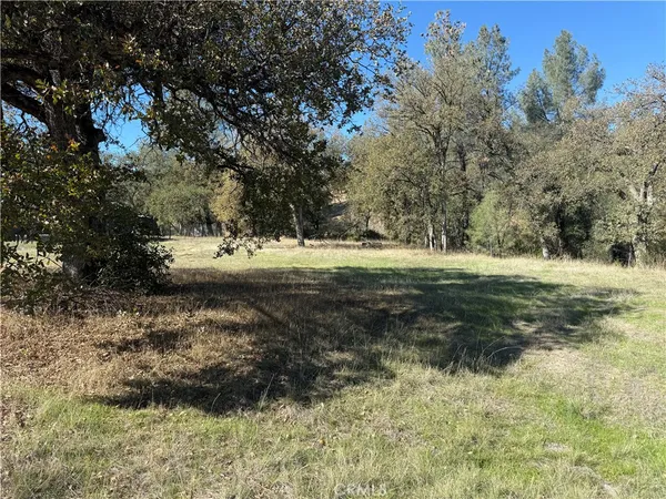 a view of a yard with trees