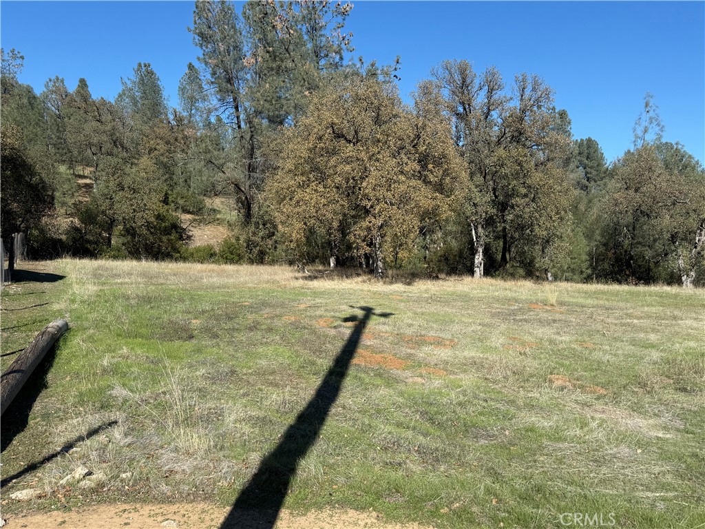 16712 Stagecoach Road Corning, CA 96021 - Photo 14 of 15 a view of yard with trees