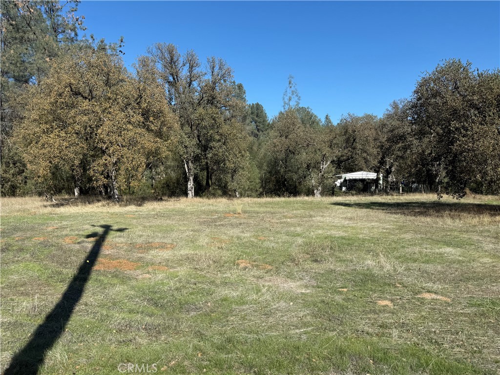 16712 Stagecoach Road Corning, CA 96021 - Photo 15 of 15 a view of swimming pool with a yard