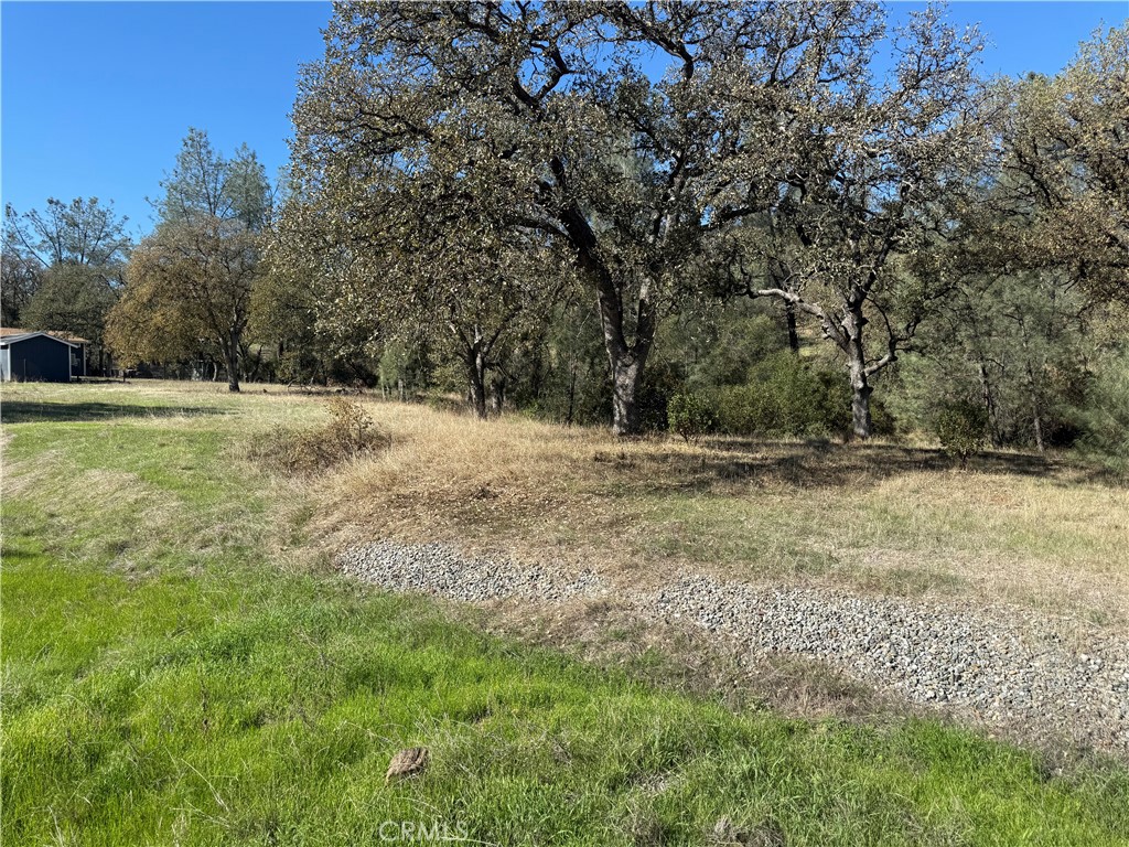 16712 Stagecoach Road Corning, CA 96021 - Photo 4 of 15 a fire hydrant in the middle of a field