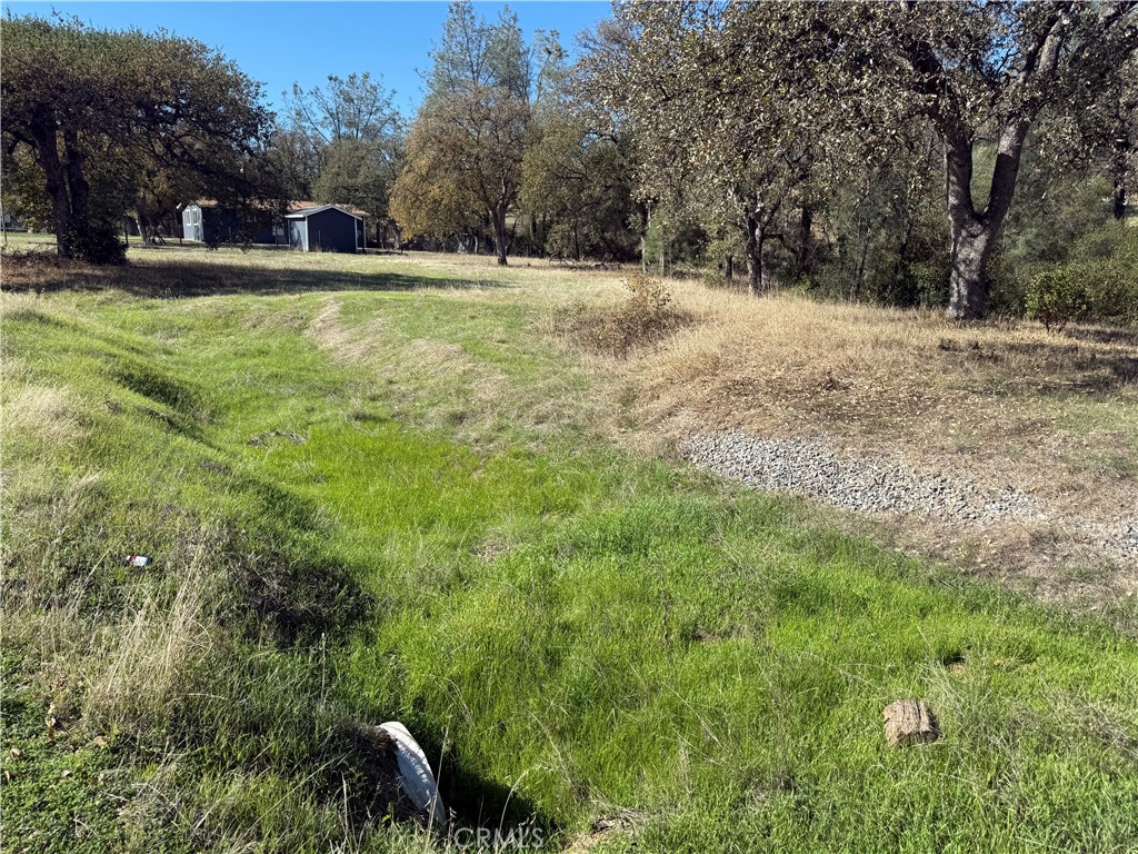 16712 Stagecoach Road Corning, CA 96021 - Photo 5 of 15 a view of a house with a yard