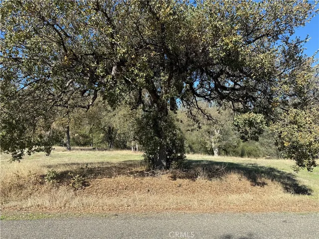 a view of a yard with a tree
