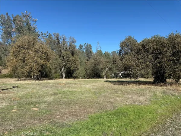 a view of a field with trees in the background